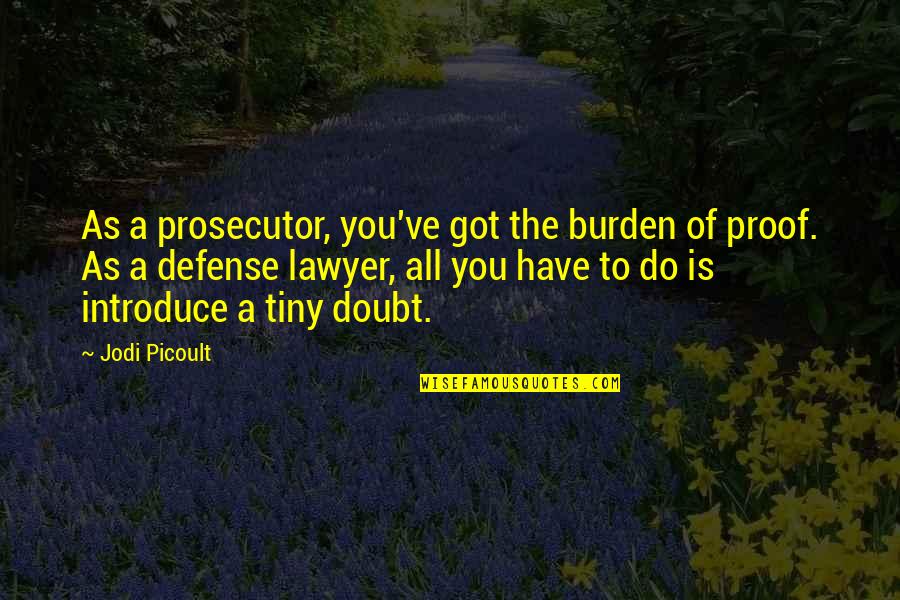 Burden Of Proof Quotes By Jodi Picoult: As a prosecutor, you've got the burden of
