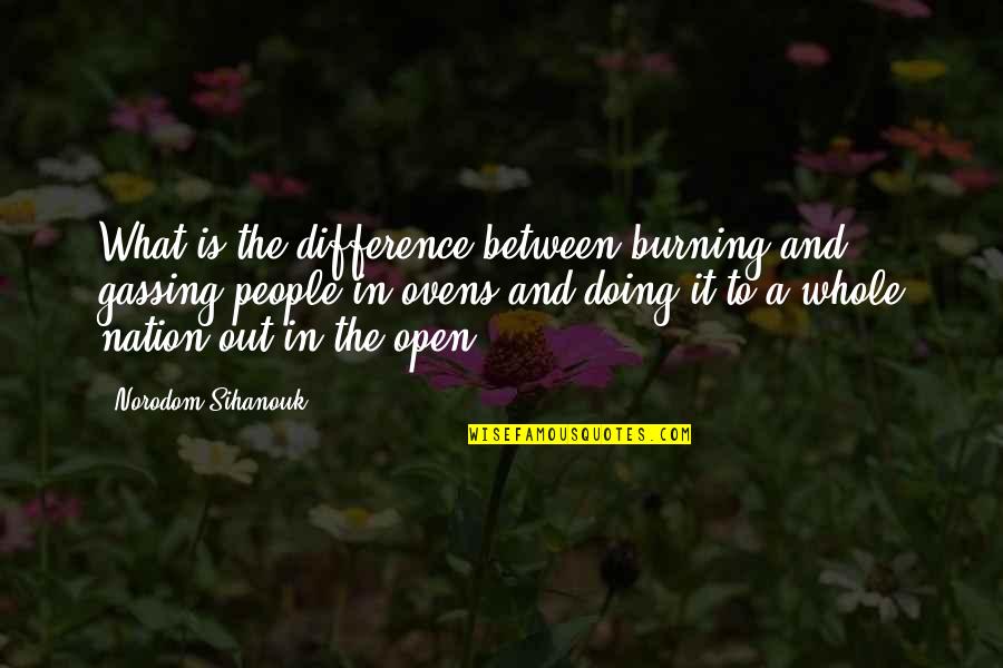 Burdens Of Life Quotes By Norodom Sihanouk: What is the difference between burning and gassing