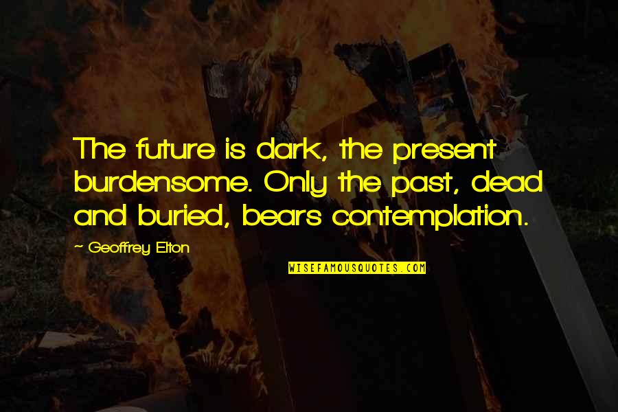 Burdensome Quotes By Geoffrey Elton: The future is dark, the present burdensome. Only