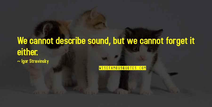 Burdensomeness Quotes By Igor Stravinsky: We cannot describe sound, but we cannot forget Burdensomeness Quotes By Igor Stravinsky: We cannot describe sound, but we cannot forget