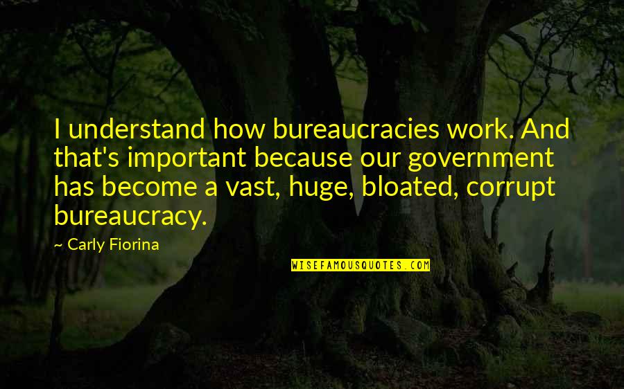 Bureaucracy's Quotes By Carly Fiorina: I understand how bureaucracies work. And that's important