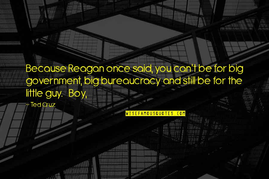 Bureaucracy's Quotes By Ted Cruz: Because Reagan once said, you can't be for