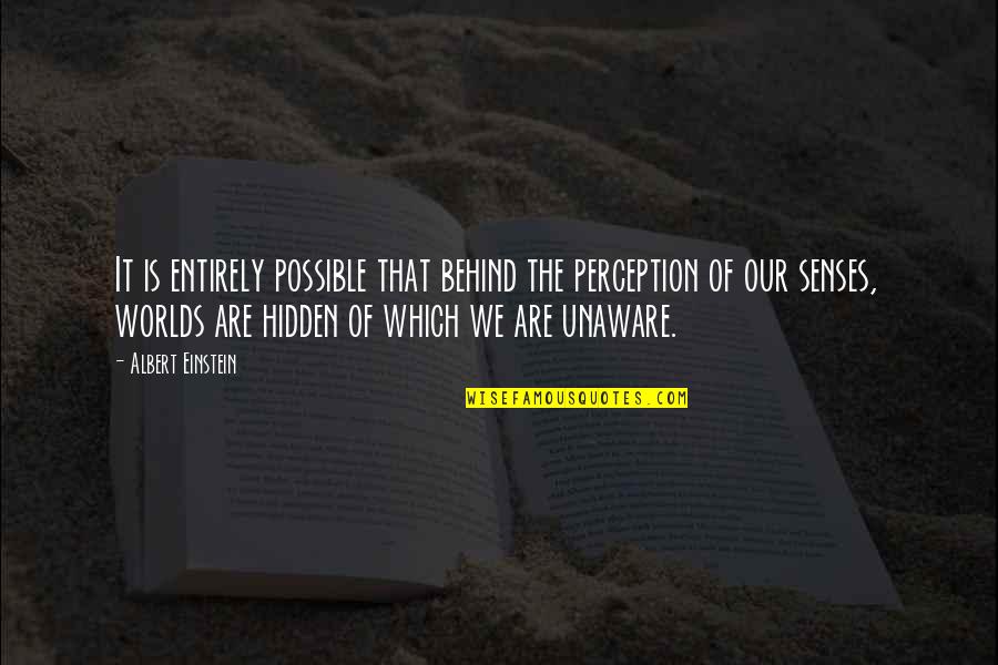 Bureaucratization Refers Quotes By Albert Einstein: It is entirely possible that behind the perception