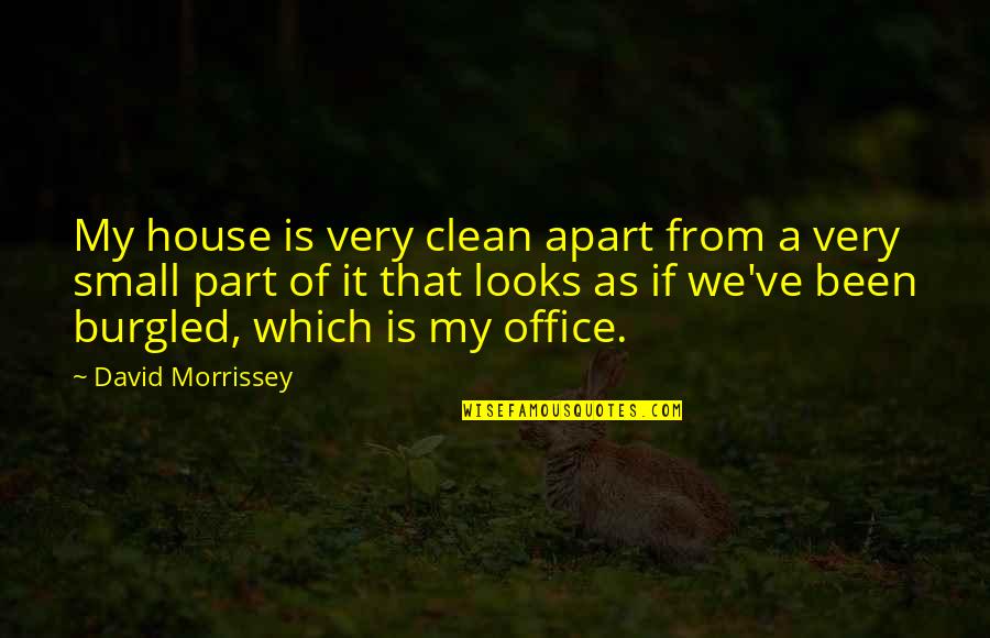 Burgled Quotes By David Morrissey: My house is very clean apart from a