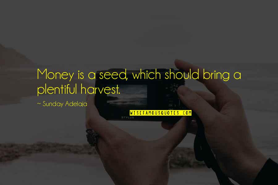 Burgman Suzuki Quotes By Sunday Adelaja: Money is a seed, which should bring a