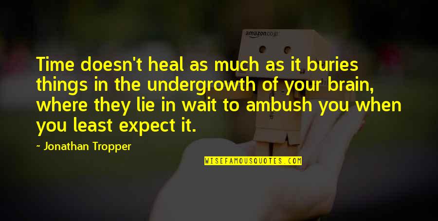 Buries Quotes By Jonathan Tropper: Time doesn't heal as much as it buries Buries Quotes By Jonathan Tropper: Time doesn't heal as much as it buries
