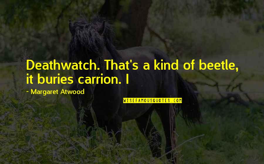 Buries Quotes By Margaret Atwood: Deathwatch. That's a kind of beetle, it buries Buries Quotes By Margaret Atwood: Deathwatch. That's a kind of beetle, it buries