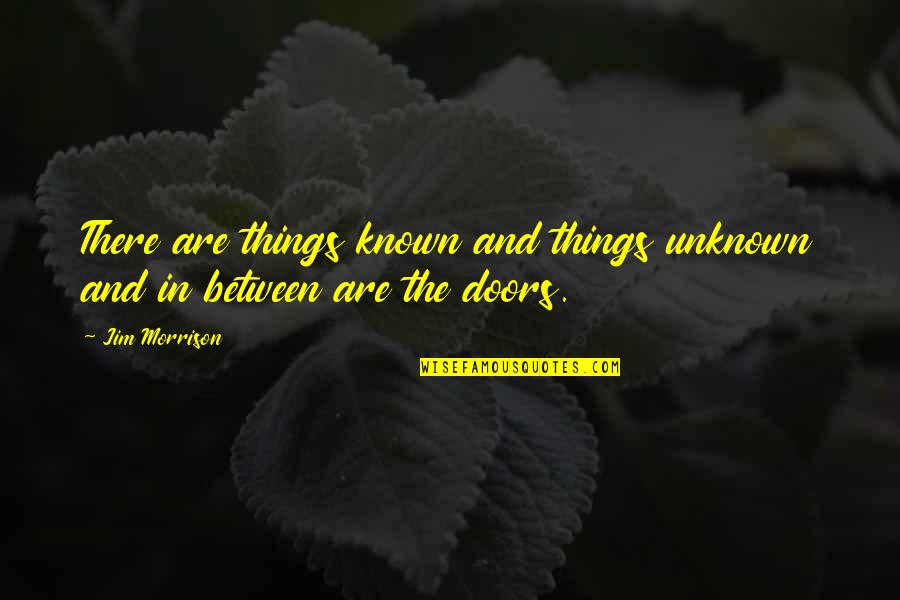 Burkentine Homes Quotes By Jim Morrison: There are things known and things unknown and
