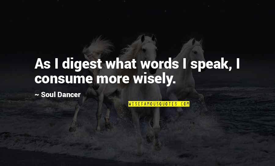 Burlando Joven Quotes By Soul Dancer: As I digest what words I speak, I