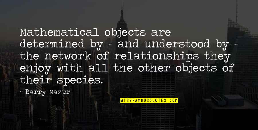 Burma's Quotes By Barry Mazur: Mathematical objects are determined by - and understood