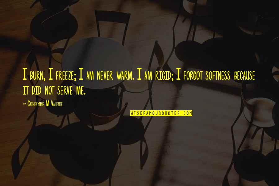 Burn Me Quotes By Catherynne M Valente: I burn, I freeze; I am never warm. Burn Me Quotes By Catherynne M Valente: I burn, I freeze; I am never warm.