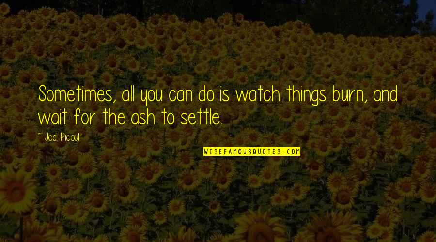 Burn Quotes By Jodi Picoult: Sometimes, all you can do is watch things