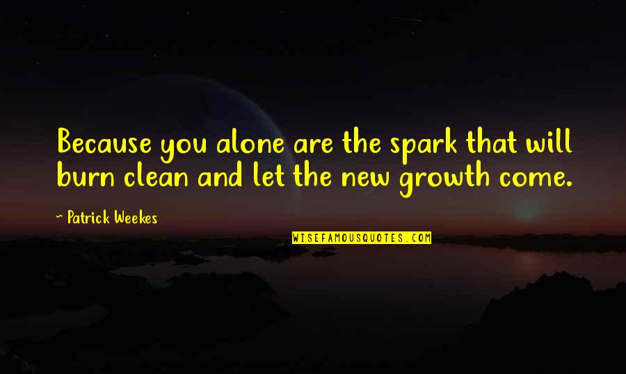 Burn Quotes By Patrick Weekes: Because you alone are the spark that will
