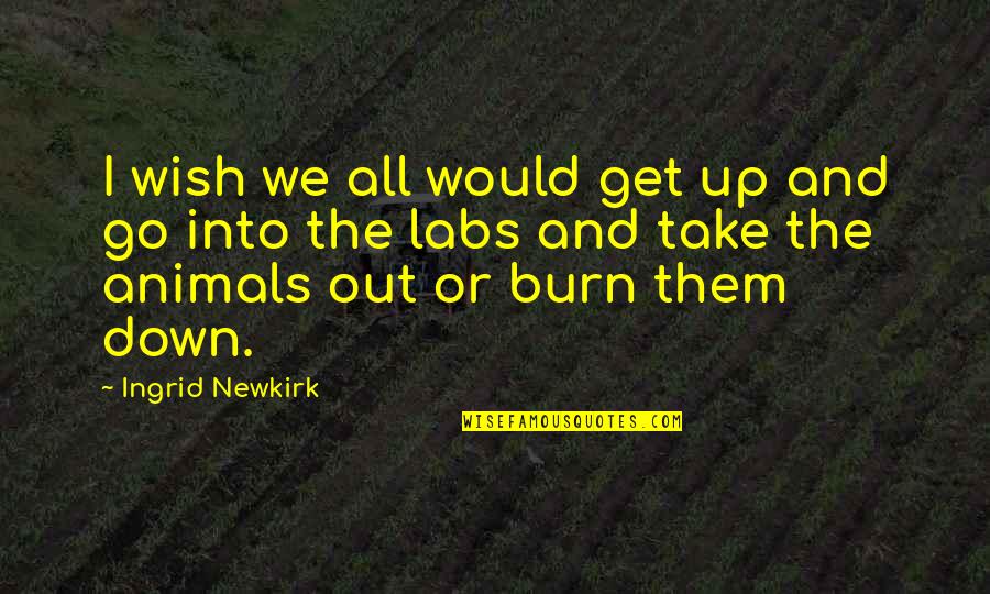 Burn Up Quotes By Ingrid Newkirk: I wish we all would get up and Burn Up Quotes By Ingrid Newkirk: I wish we all would get up and