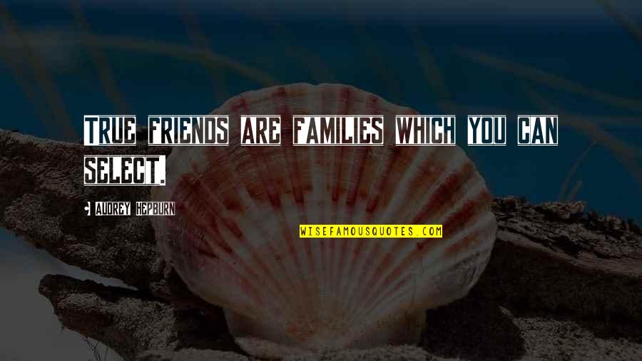 Burnapoo Quotes By Audrey Hepburn: True friends are families which you can select. Burnapoo Quotes By Audrey Hepburn: True friends are families which you can select.