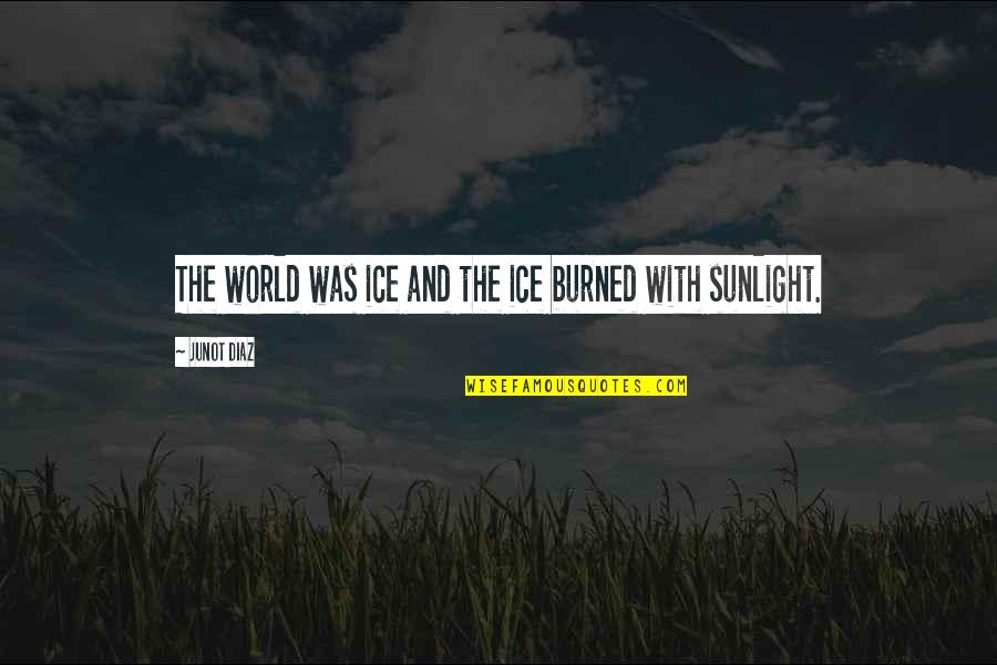 Burned Quotes By Junot Diaz: The world was ice and the ice burned