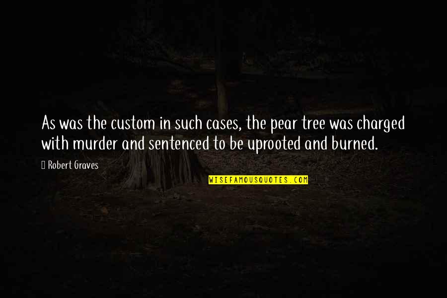 Burned Quotes By Robert Graves: As was the custom in such cases, the