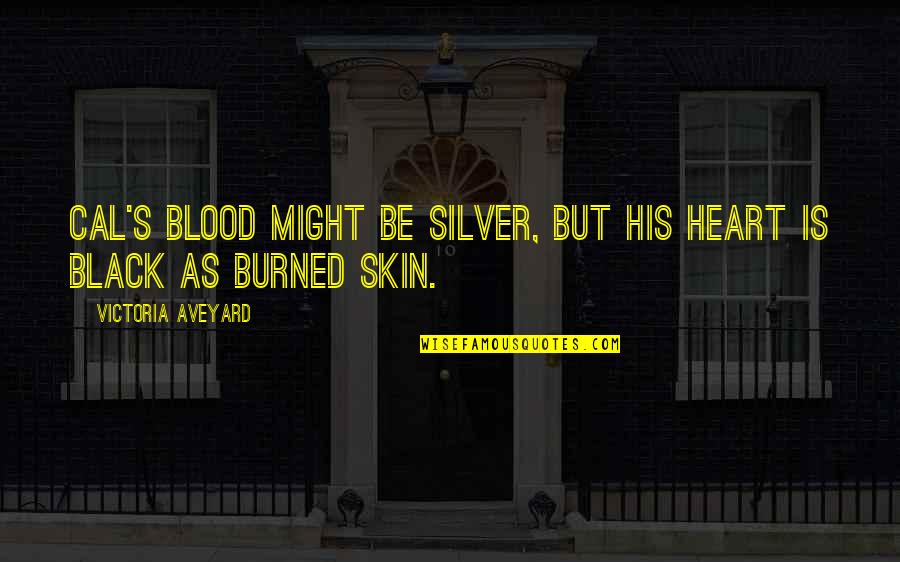 Burned Skin Quotes By Victoria Aveyard: Cal's blood might be silver, but his heart Burned Skin Quotes By Victoria Aveyard: Cal's blood might be silver, but his heart