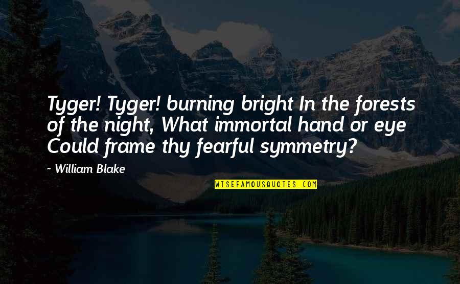 Burning Bright Quotes By William Blake: Tyger! Tyger! burning bright In the forests of