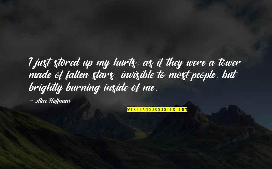 Burning Brightly Quotes By Alice Hoffman: I just stored up my hurts, as if Burning Brightly Quotes By Alice Hoffman: I just stored up my hurts, as if