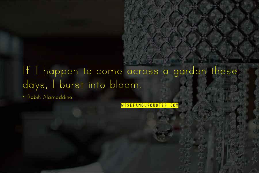 Burning Daylight Quotes By Rabih Alameddine: If I happen to come across a garden