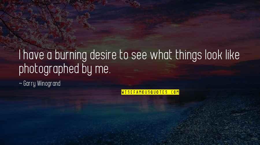 Burning Desire Quotes By Garry Winogrand: I have a burning desire to see what