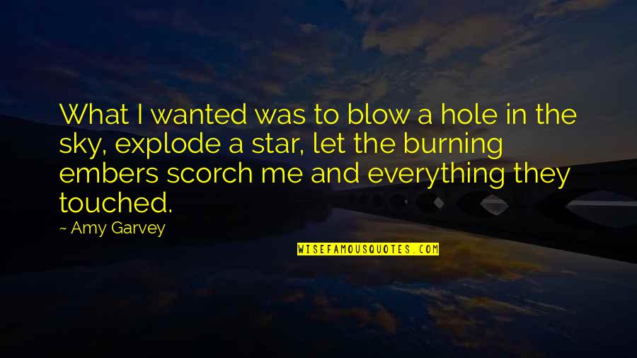 Burning Embers Quotes By Amy Garvey: What I wanted was to blow a hole