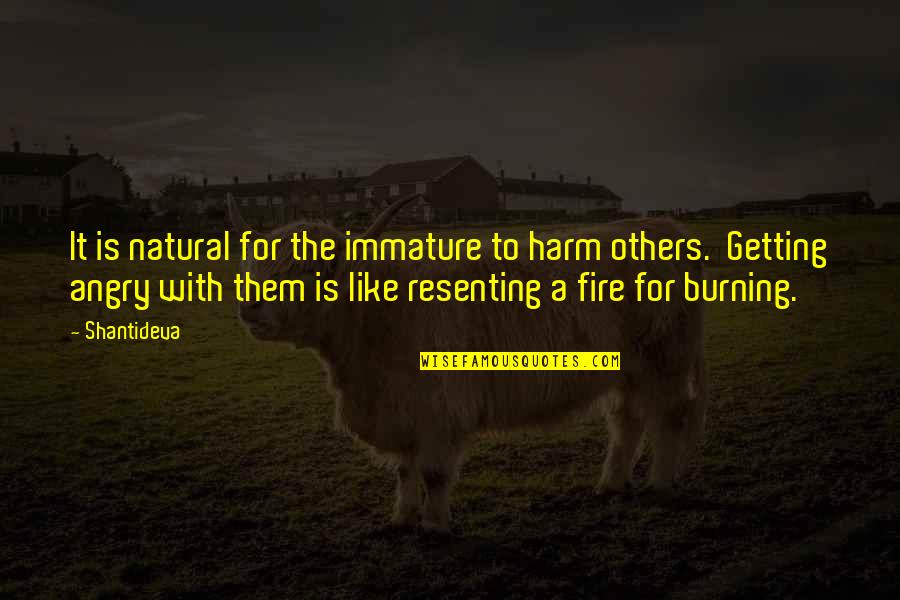 Burning Fire Quotes By Shantideva: It is natural for the immature to harm