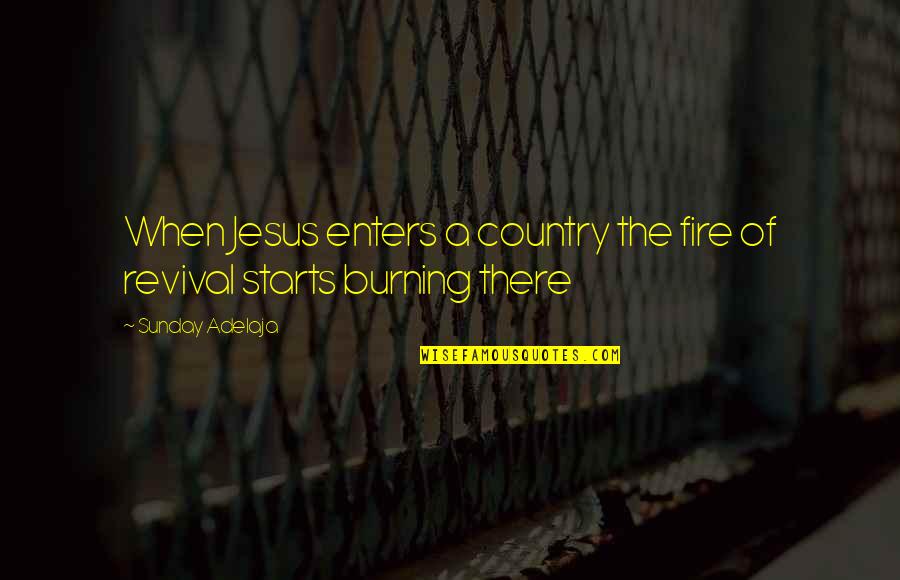 Burning Fire Quotes By Sunday Adelaja: When Jesus enters a country the fire of
