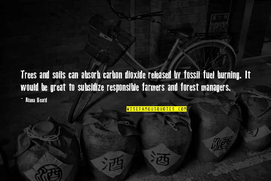 Burning Fossil Fuel Quotes By Alana Beard: Trees and soils can absorb carbon dioxide released