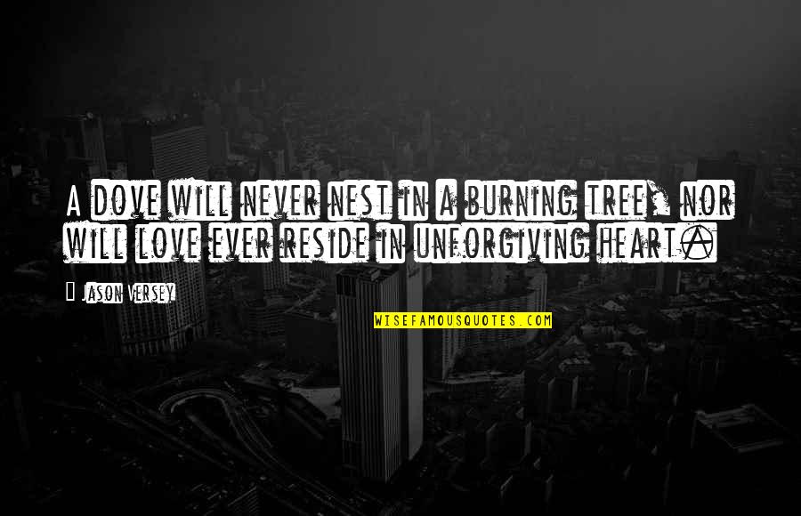 Burning Heart Quotes By Jason Versey: A dove will never nest in a burning