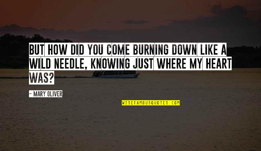 Burning Heart Quotes By Mary Oliver: But how did you come burning down like