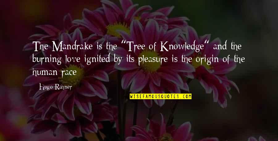 Burning Love Quotes By Hugo Rahner: The Mandrake is the "Tree of Knowledge" and
