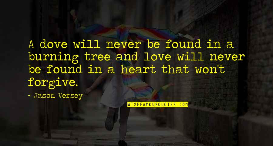 Burning Love Quotes By Jason Versey: A dove will never be found in a