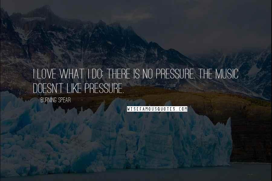 Burning Spear quotes: I love what I do: there is no pressure. The music doesn't like pressure.