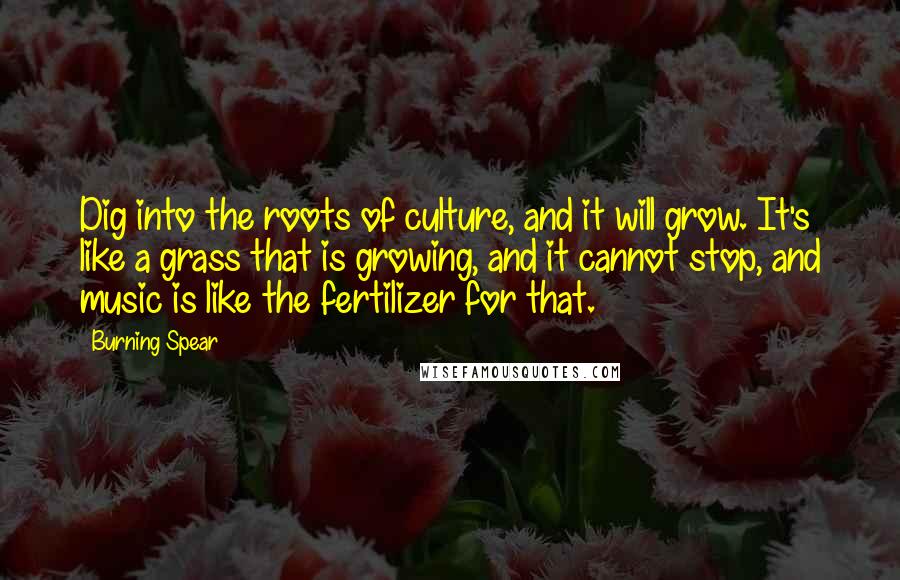 Burning Spear quotes: Dig into the roots of culture, and it will grow. It's like a grass that is growing, and it cannot stop, and music is like the fertilizer for that.