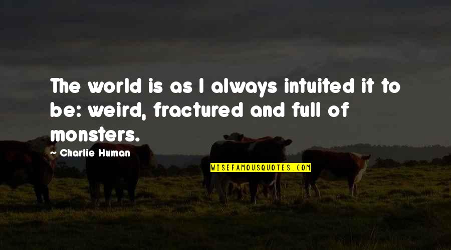 Burnished Slate Quotes By Charlie Human: The world is as I always intuited it