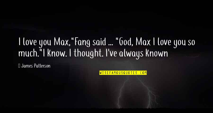 Burnout At Work Quotes By James Patterson: I love you Max,"Fang said ... "God, Max