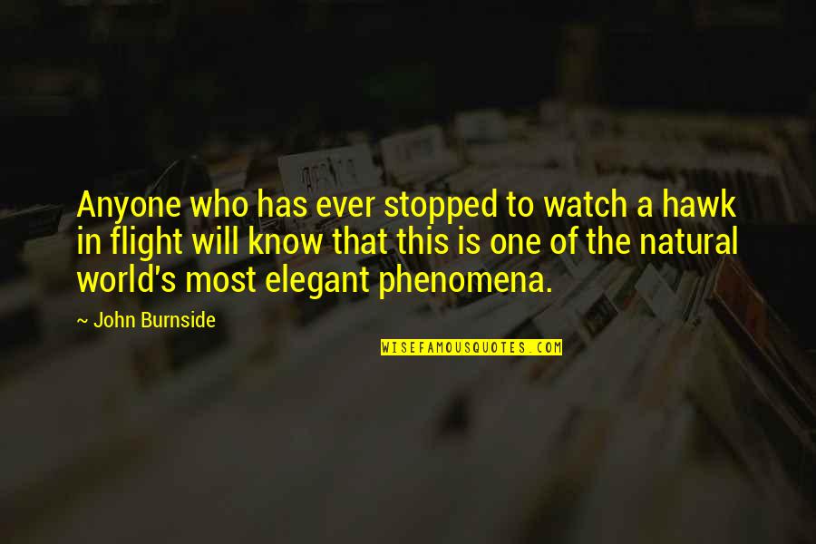 Burnside Quotes By John Burnside: Anyone who has ever stopped to watch a
