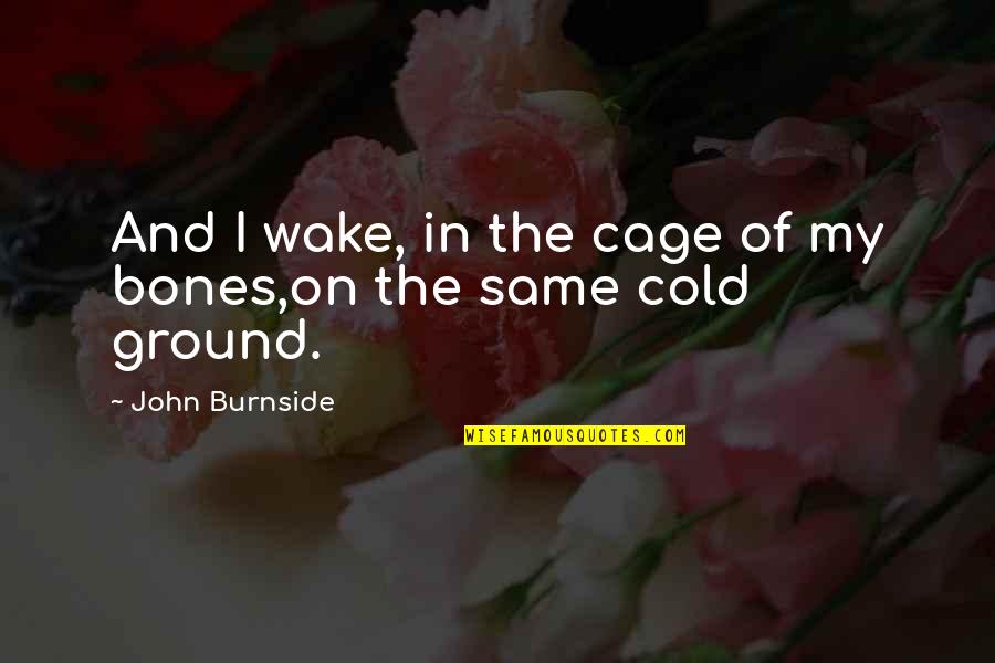 Burnside Quotes By John Burnside: And I wake, in the cage of my