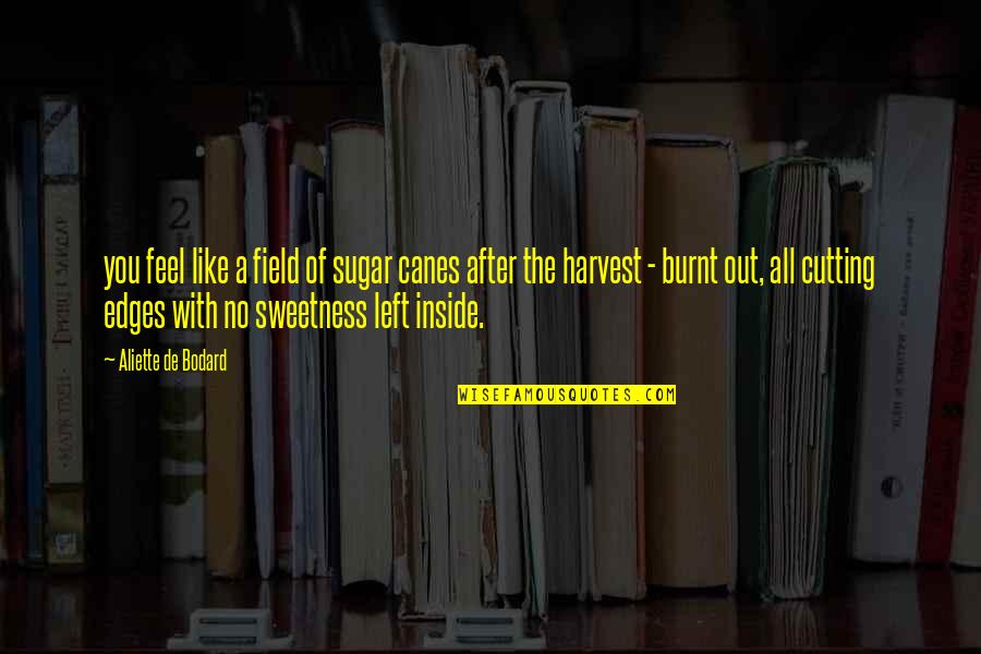 Burnt Sugar Quotes By Aliette De Bodard: you feel like a field of sugar canes Burnt Sugar Quotes By Aliette De Bodard: you feel like a field of sugar canes