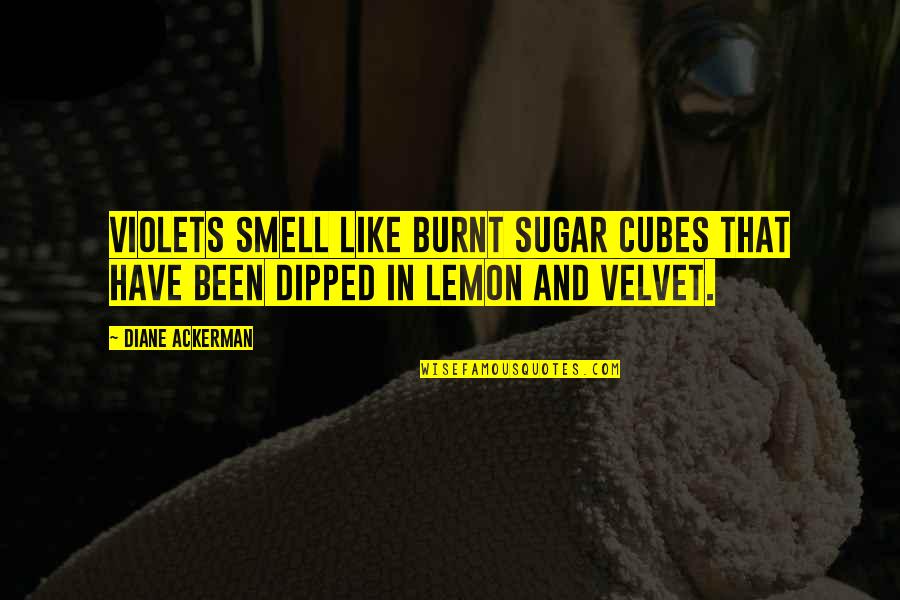 Burnt Sugar Quotes By Diane Ackerman: Violets smell like burnt sugar cubes that have