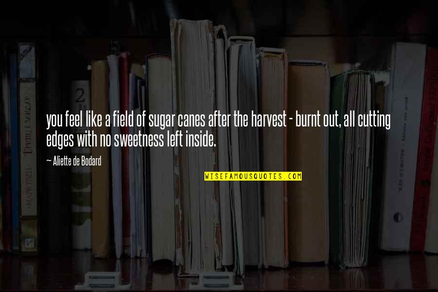 Burnt's Quotes By Aliette De Bodard: you feel like a field of sugar canes