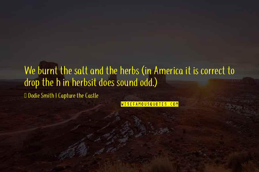 Burnt's Quotes By Dodie Smith I Capture The Castle: We burnt the salt and the herbs (in