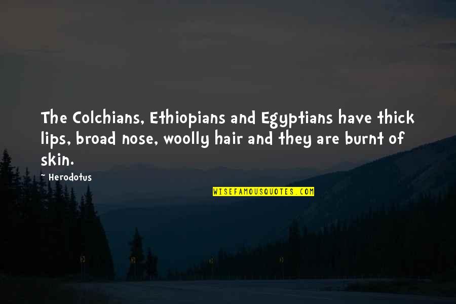 Burnt's Quotes By Herodotus: The Colchians, Ethiopians and Egyptians have thick lips,
