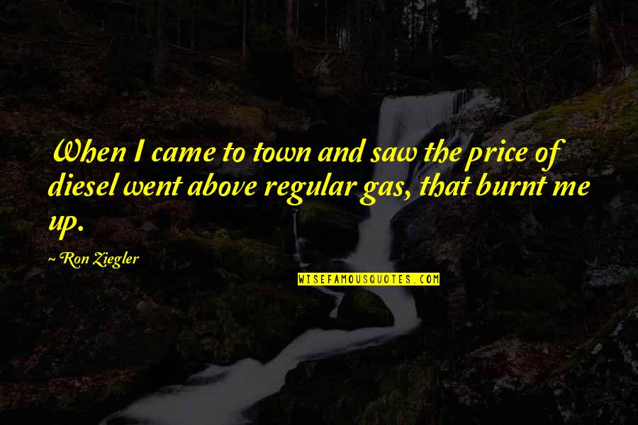 Burnt's Quotes By Ron Ziegler: When I came to town and saw the