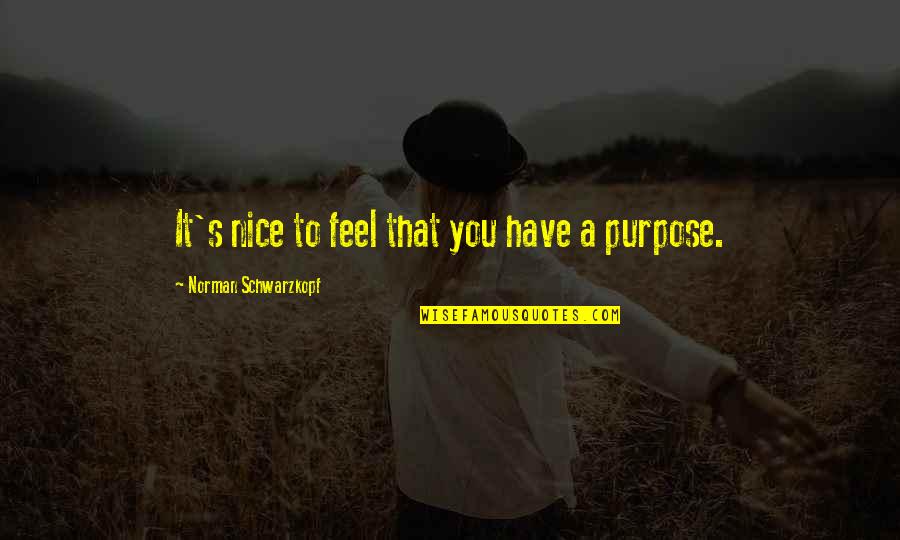 Burovo Quotes By Norman Schwarzkopf: It's nice to feel that you have a