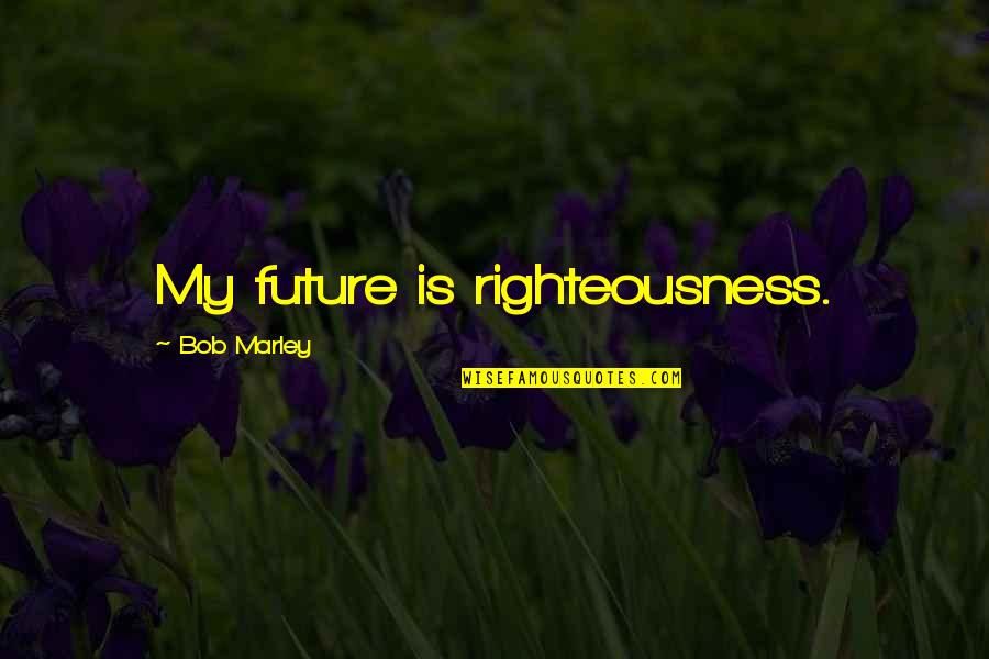 Burpee Workout Quotes By Bob Marley: My future is righteousness.