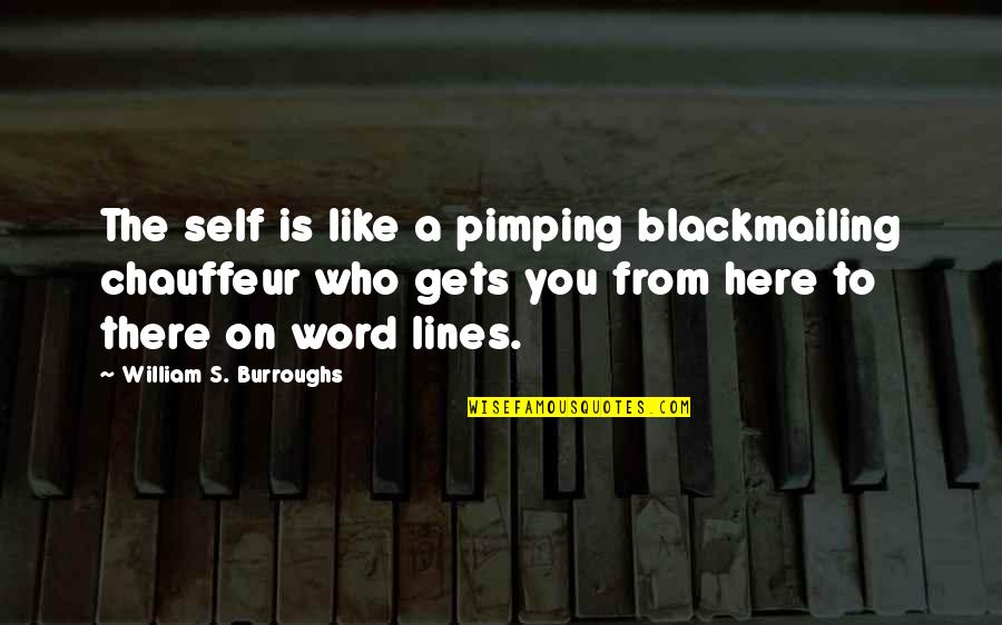 Burroughs William Quotes By William S. Burroughs: The self is like a pimping blackmailing chauffeur