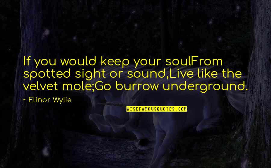 Burrow Quotes By Elinor Wylie: If you would keep your soulFrom spotted sight